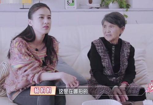 娱乐吃瓜酱婆婆在线观看