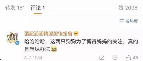 吃瓜娱乐常用bgm,跟随热门bgm，解锁吃瓜娱乐新境界