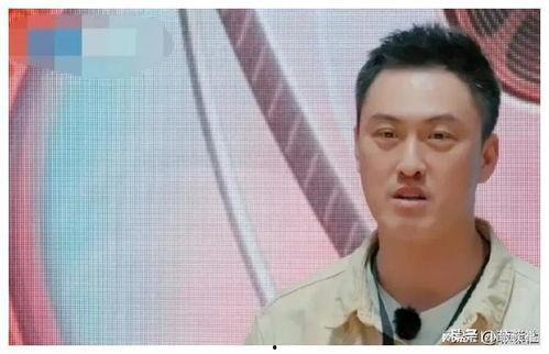 我在娱乐圈吃瓜爆,揭秘明星幕后故事